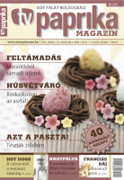 /album/galerie-des-images-magazine-project/pcover1-png/
