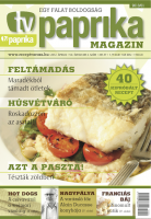 /album/galerie-des-images-magazine-project/pcover5-png/