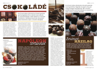 /album/galerie-des-images-magazine-project/pcsoki-png/